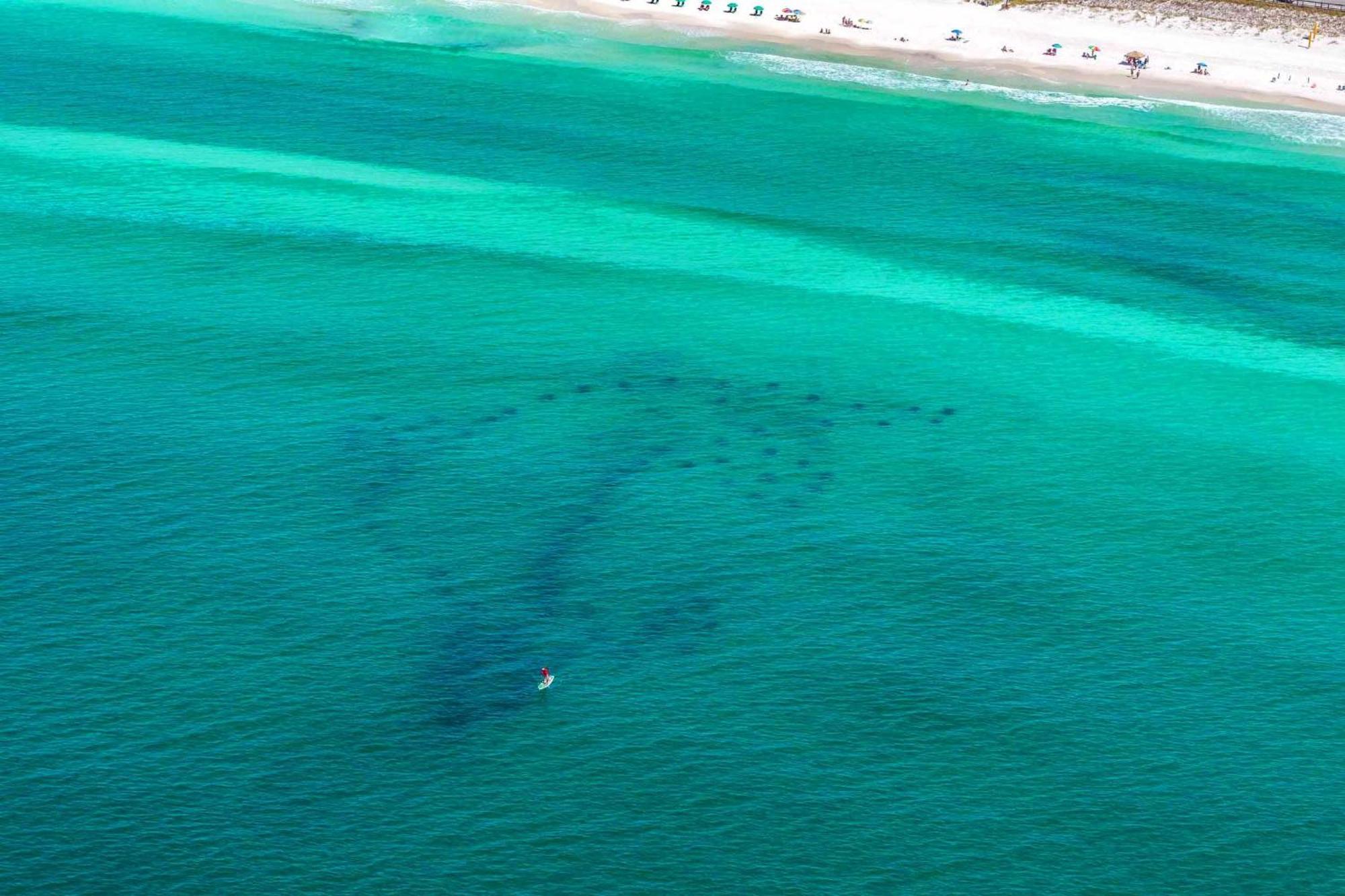 Cabin By The Sea Destin Buitenkant foto